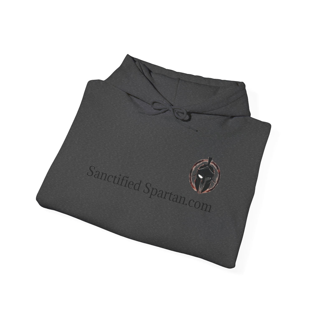 Biblical Quote Men's Hoodie