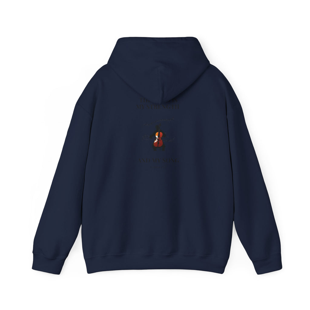 Hooded Sweatshirt - Comfy Biblical Passage Life Verse