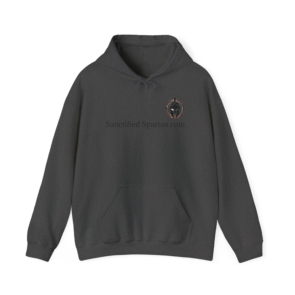 Biblical Quote Men's Hoodie