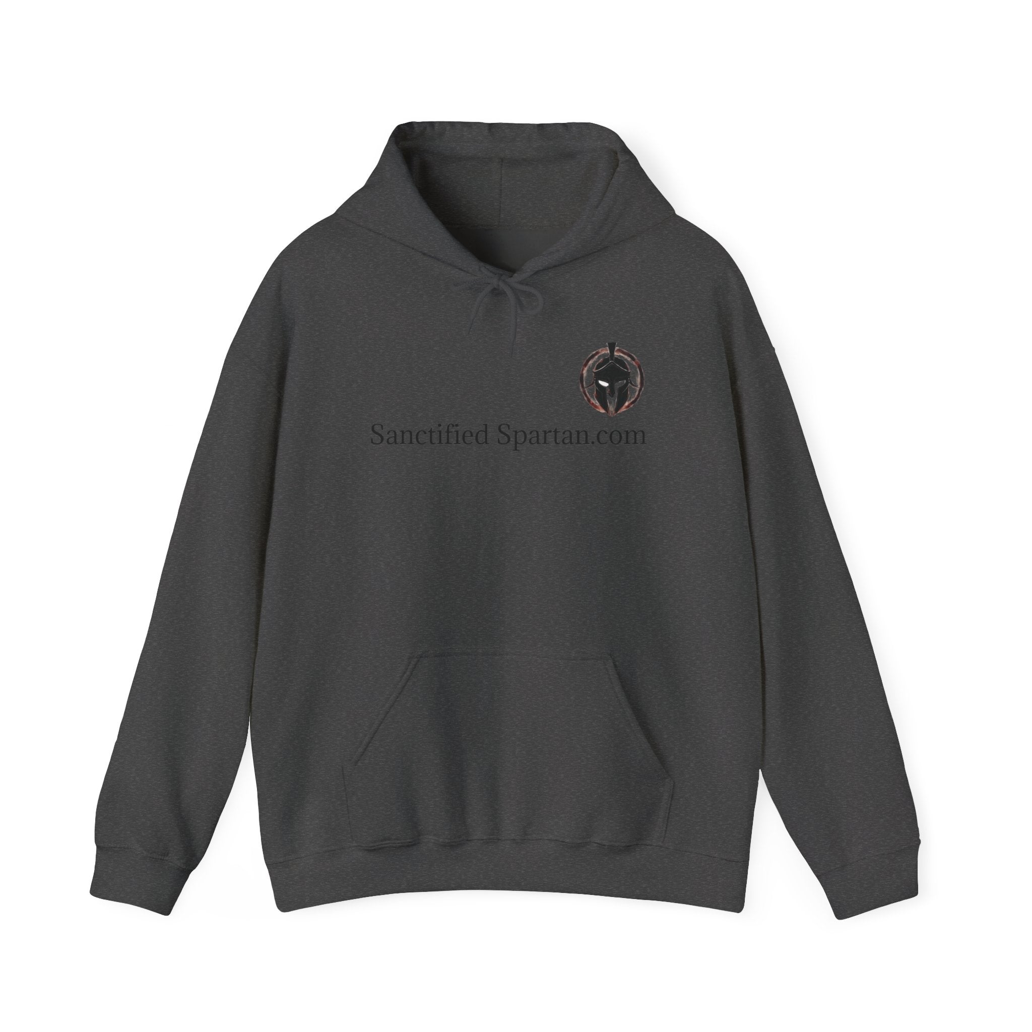 Biblical Quote Men's Hoodie