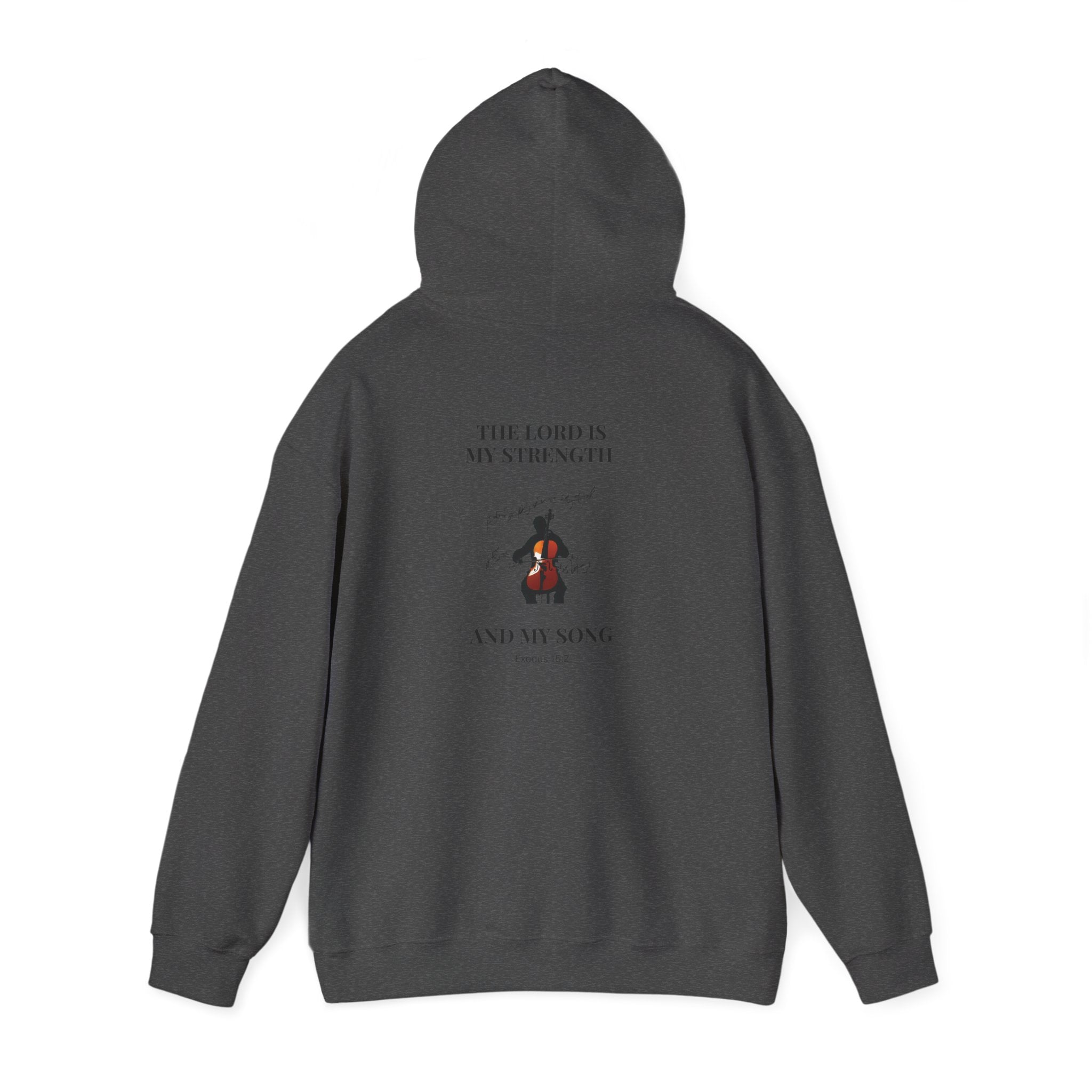 Hooded Sweatshirt - Comfy Biblical Passage Life Verse