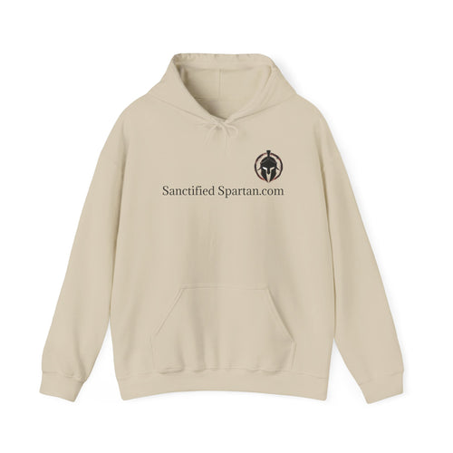 Biblical Quote Men's Hoodie