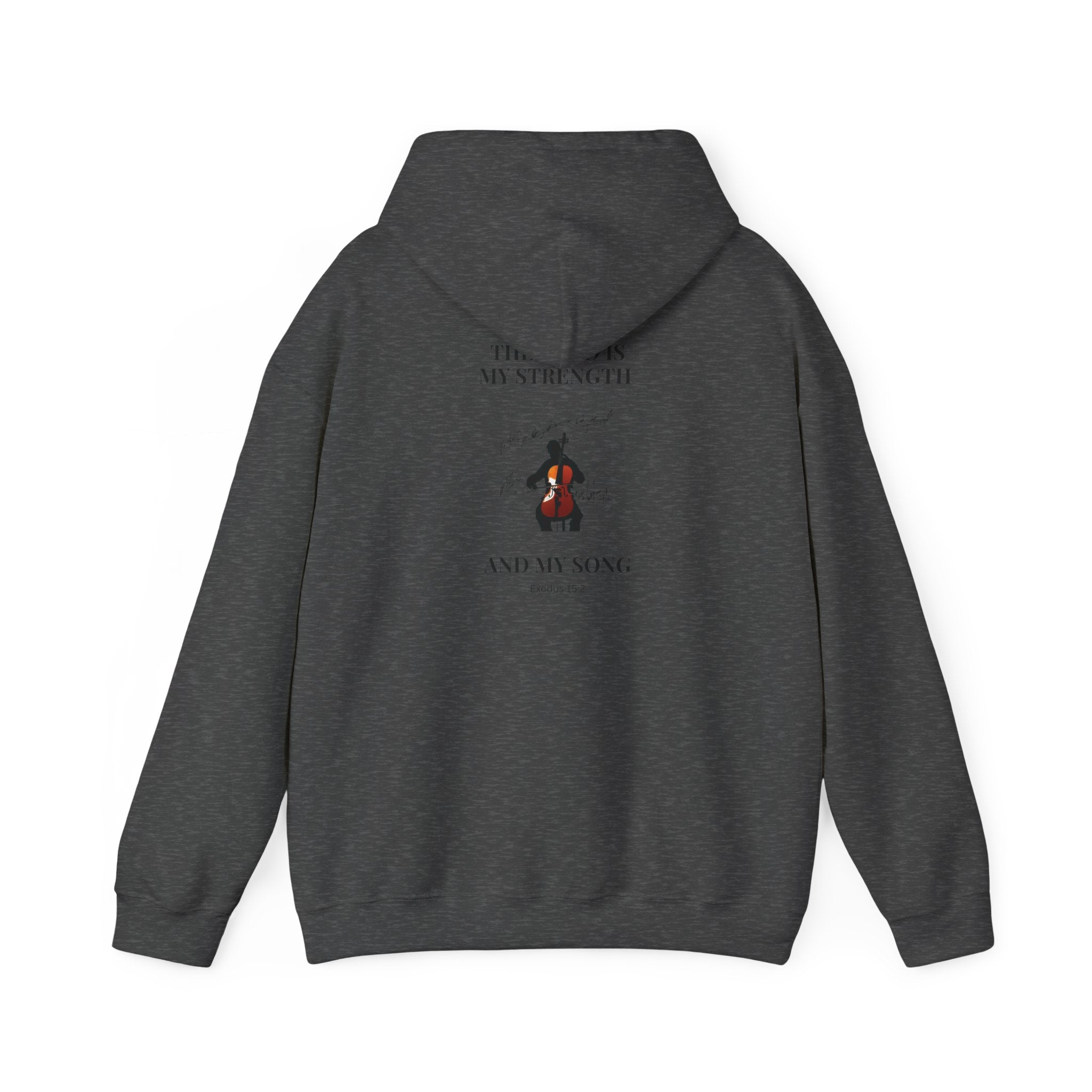 Hooded Sweatshirt - Comfy Biblical Passage Life Verse